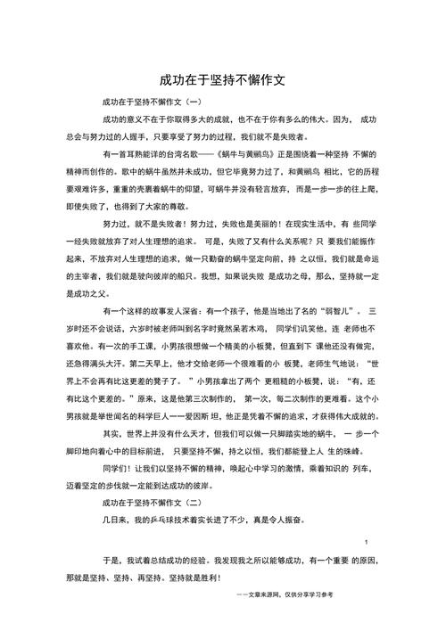 关于坚持不懈的中考作文作文800字高中