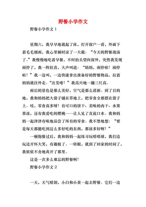 关于野炊的优秀作文作文500字六年级