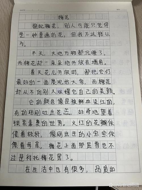 写梅花的大学作小学作文5篇