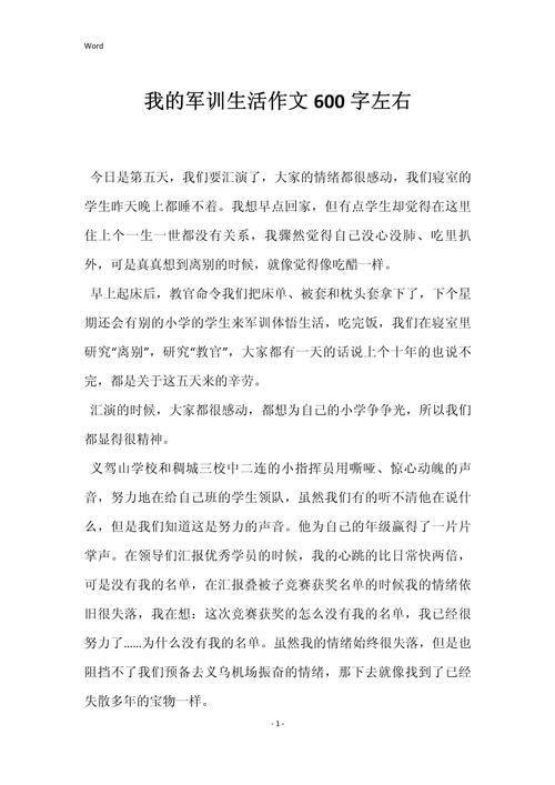 军训的作文素材作文600字高一