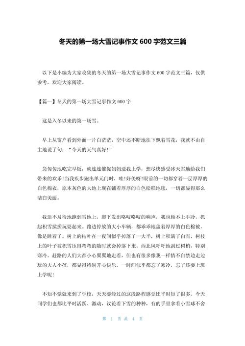 冬天的高中作雪作文600字最新4篇