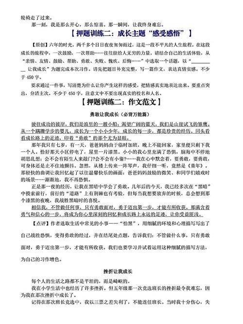 初三即将毕业作小升初作文