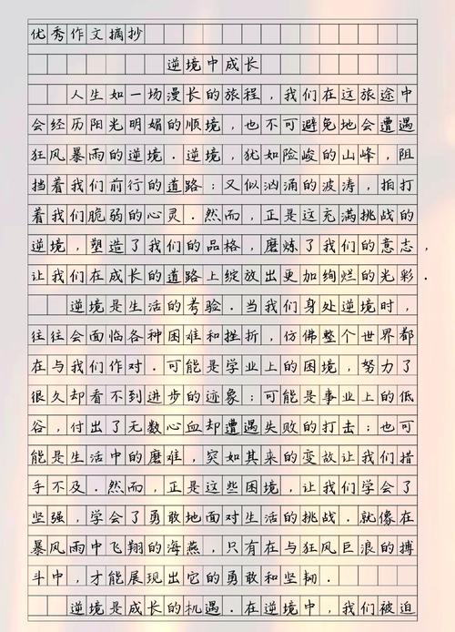 2017年高考辽宁满分作文：自强开放，小学作光照四方