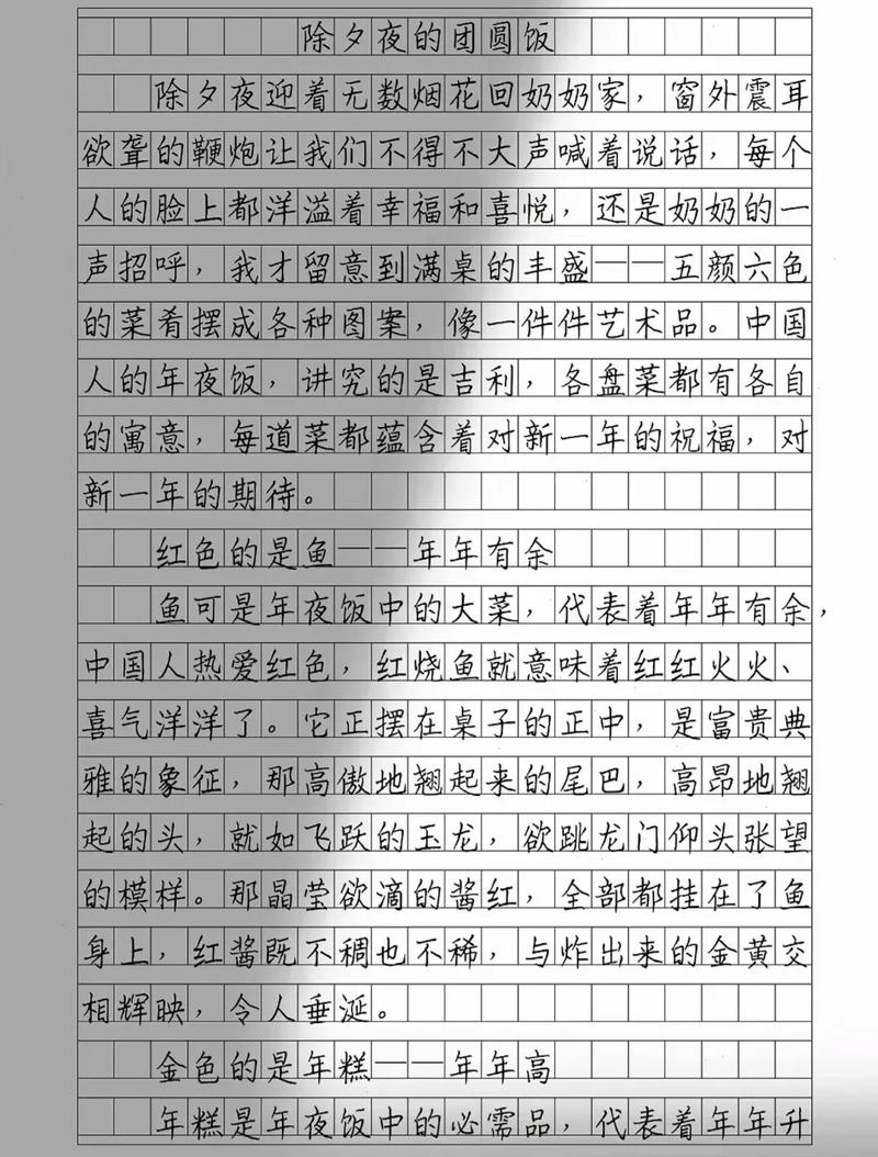 2022团圆饭作文300字小学二年大学作