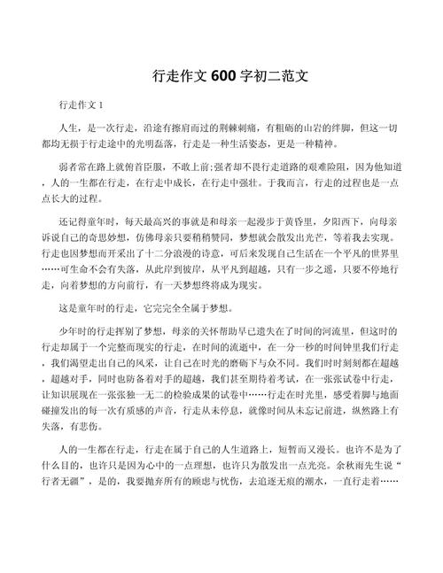 一个人走作小升初作文600字初中