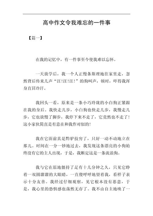 一件难忘的高中作事作文900字最新