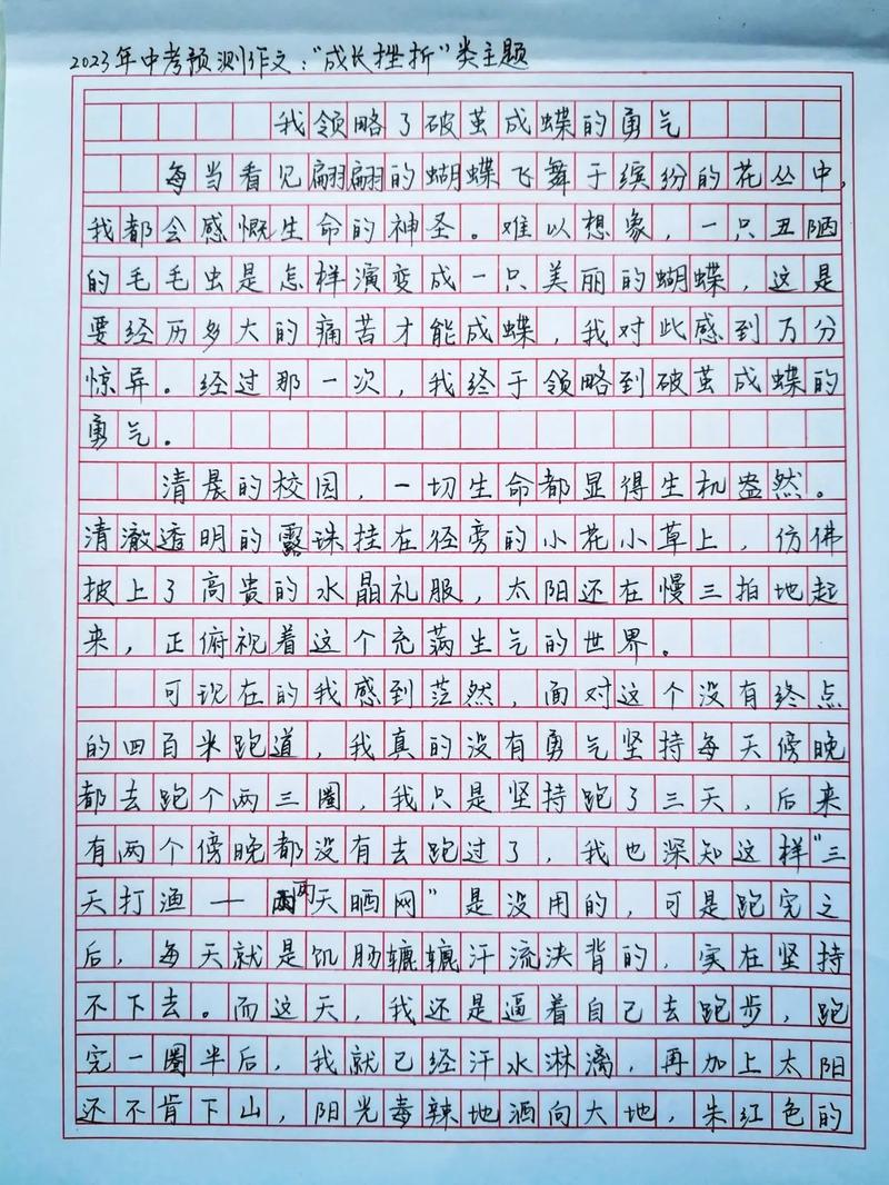 中考抒怀作作文网