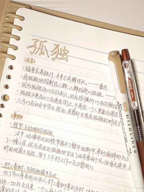 享受孤独的高考作文作文600字合集