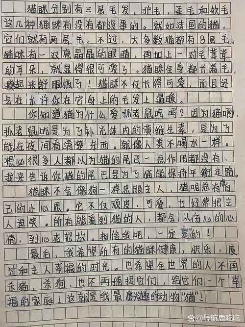 介绍一种事物作作文素材初一(优秀6篇)