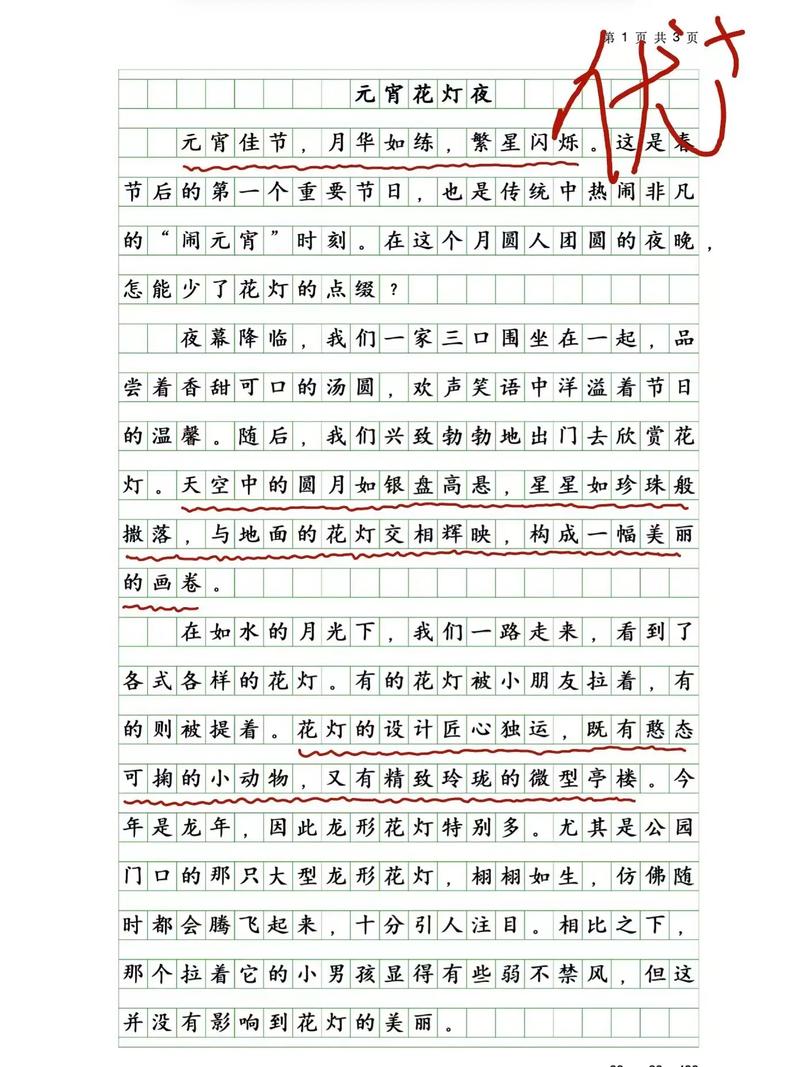 关于中元节的中考作文作文500字（个人通用）
