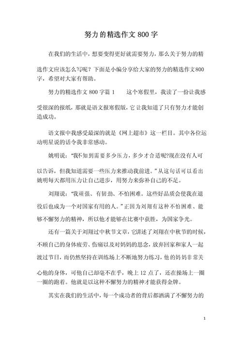 关于努力得六年级作文到回报作文