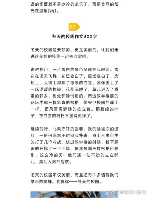 冬天的初中作作文100字(最新8篇)