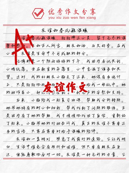 初一作作文网500字友谊一直都在（个人通用）