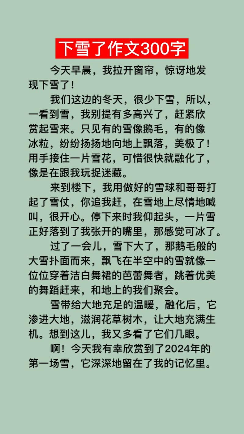 2022寒假下雪作看图作文600字左右