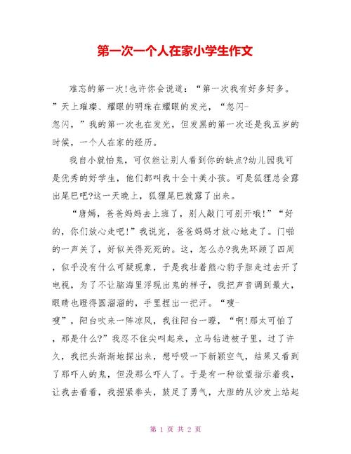 一个人在家作作文