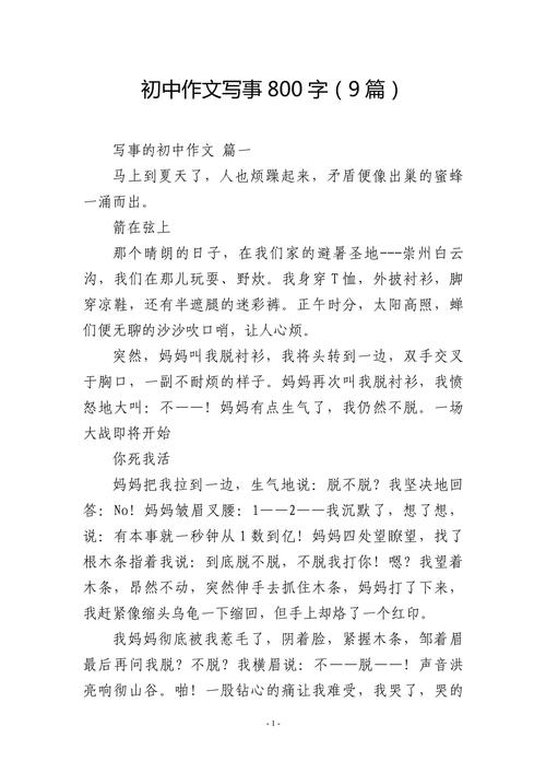 一件事作作文800字初三(合集7篇)