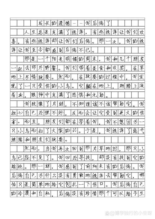 一件后悔的初中作事800字