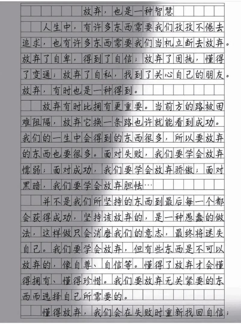 七年优秀作文关于放弃作文500字左右