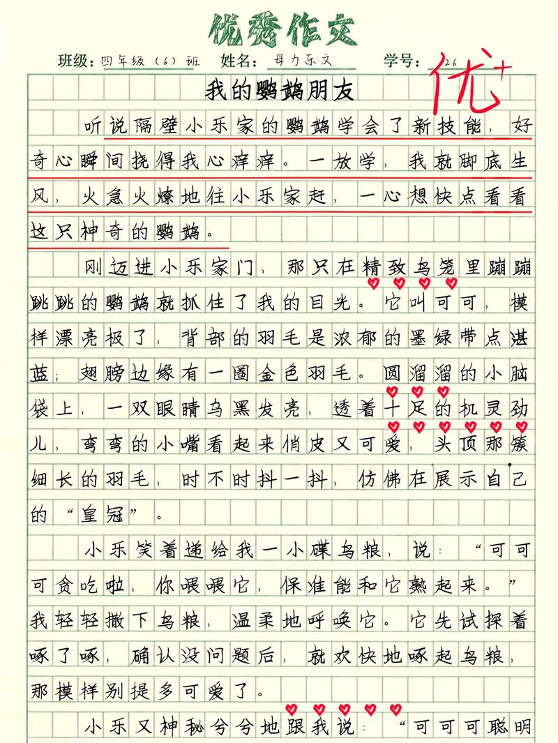 三年看图作文作文鹦鹉怎么写集锦