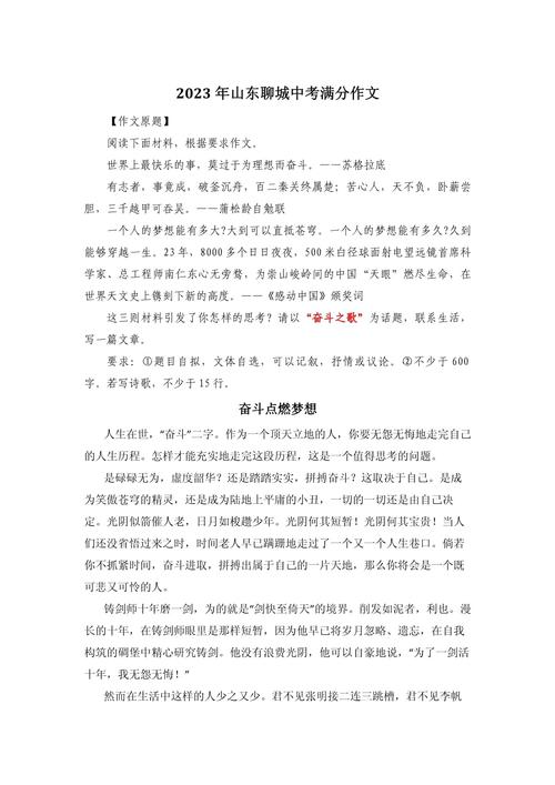为理想奋斗的中考作文作文高中
