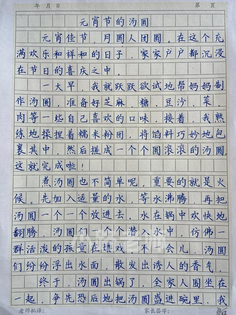 今年元宵节作作文素材
