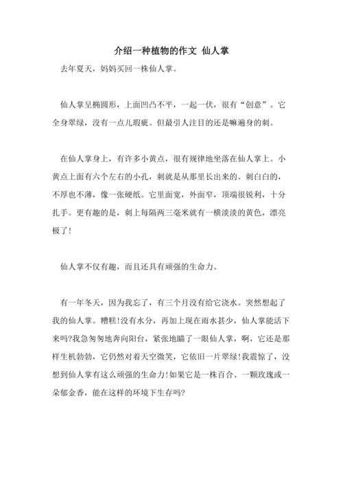 仙人掌作文350字三年高中作下册