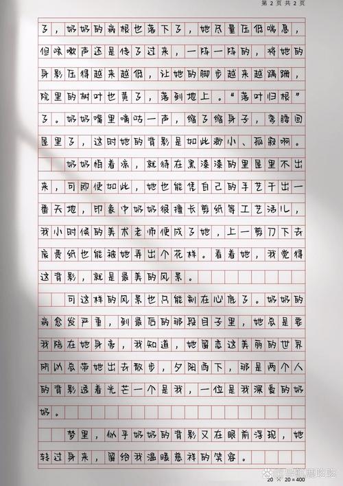 你的中考作文背影作文