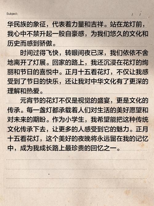 元宵节看花灯作作文网400字记叙文