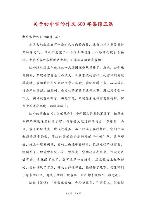 关于下雪的作文素材作文600字初中写景(必备)