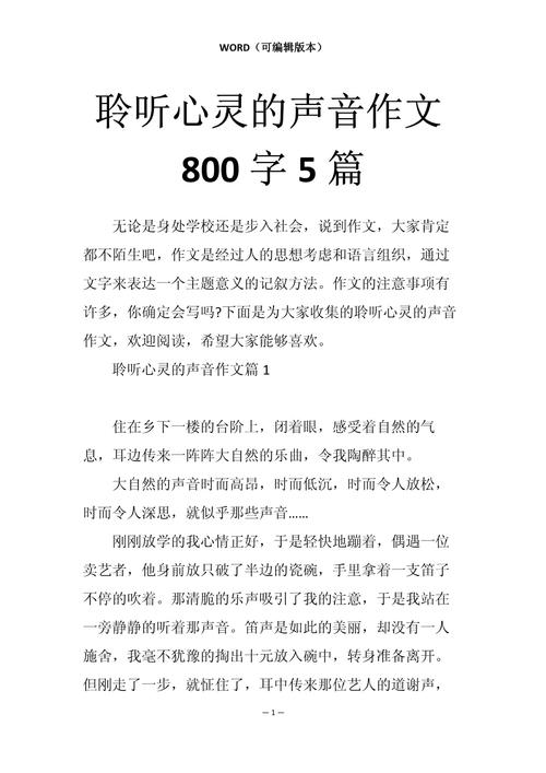 关于听海的作文大全声音高中800字作文
