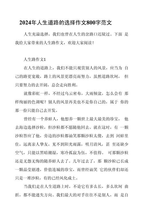 关于选择道路的小学作作文600字