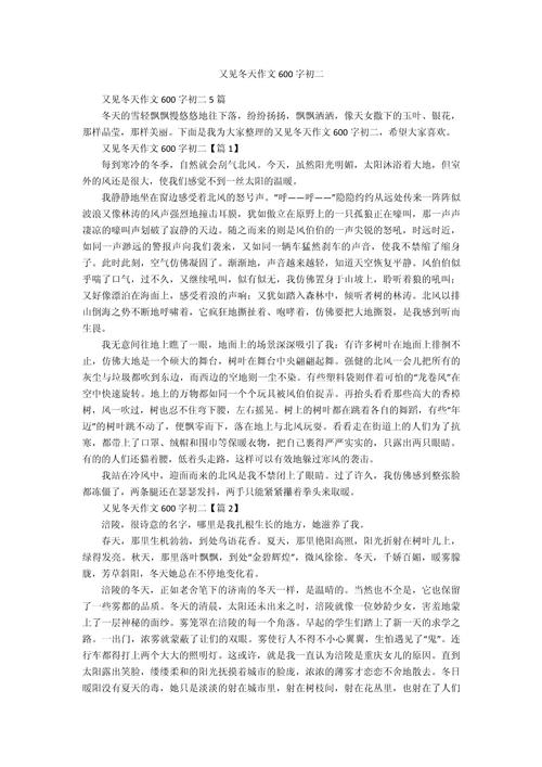 冬天和我有个约会作大学作600字初中优秀