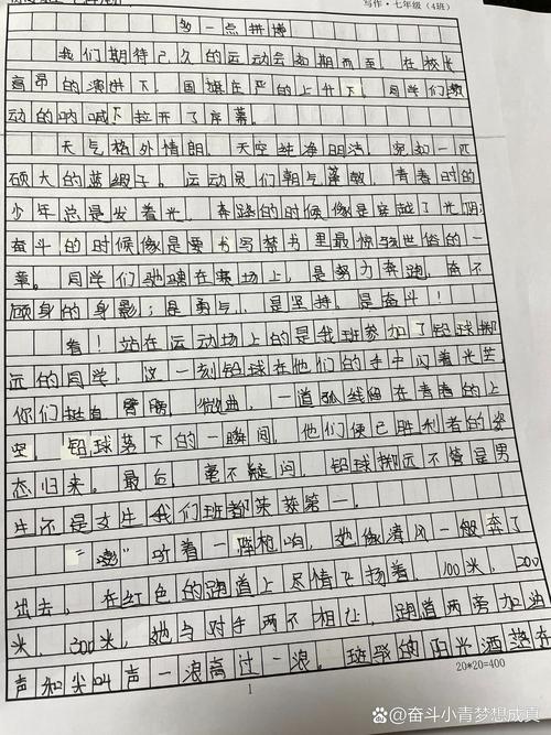 初一运动会作作文400字