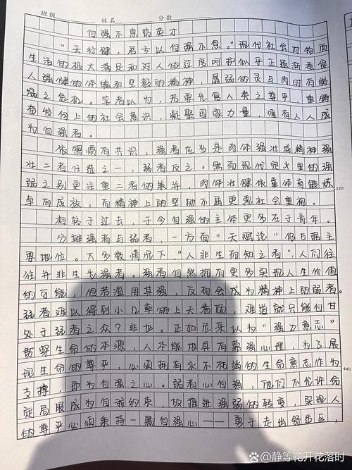 2017年高考新疆满分作文：自强开放，优秀作文光照四方
