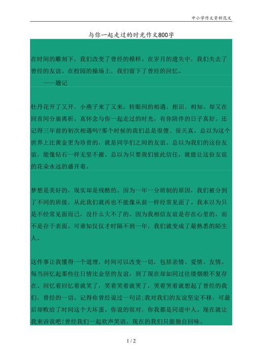 与你在一起作文800字高中二年小学作