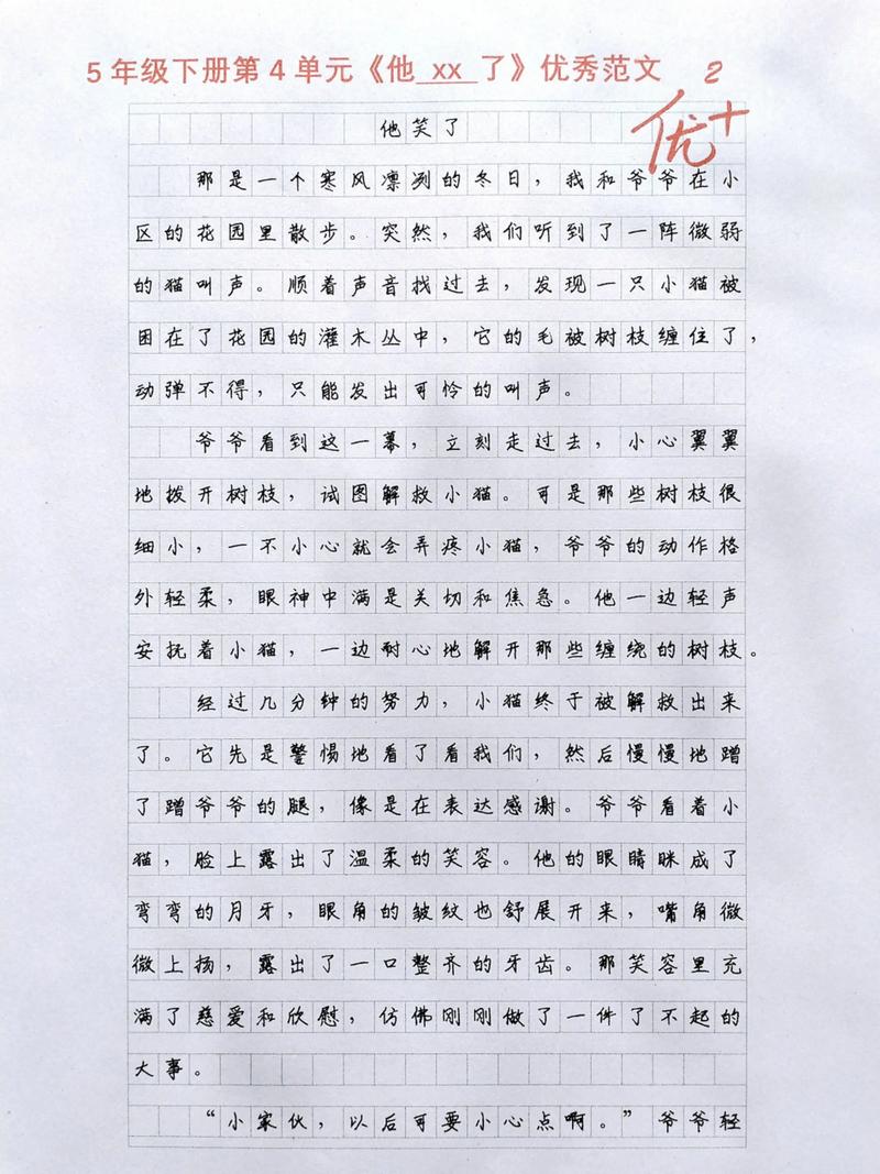 他笑了作小升初作文