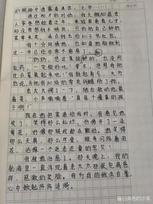 他笑了作小升初作文