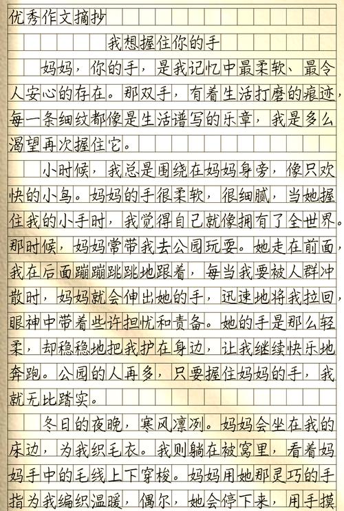 作文我想握住你的六年级作文手