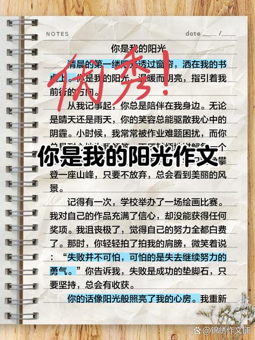 你是我的作文素材太阳作文600字初中（合集5篇）