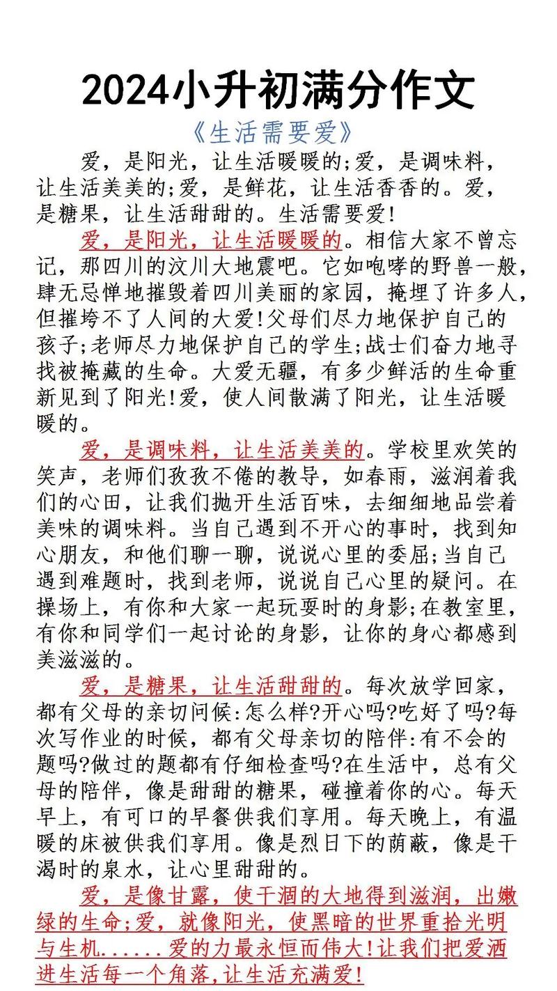 偷玩电脑的小升初作文日子作文