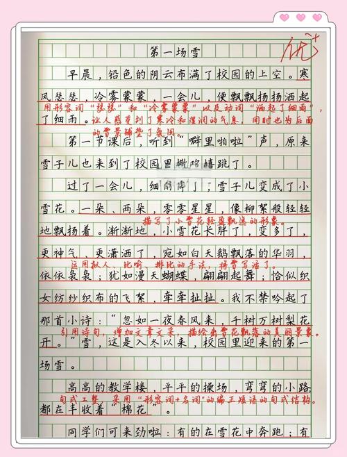 入春的六年级作文第一场雪作文500字小学五年级作文(精选)