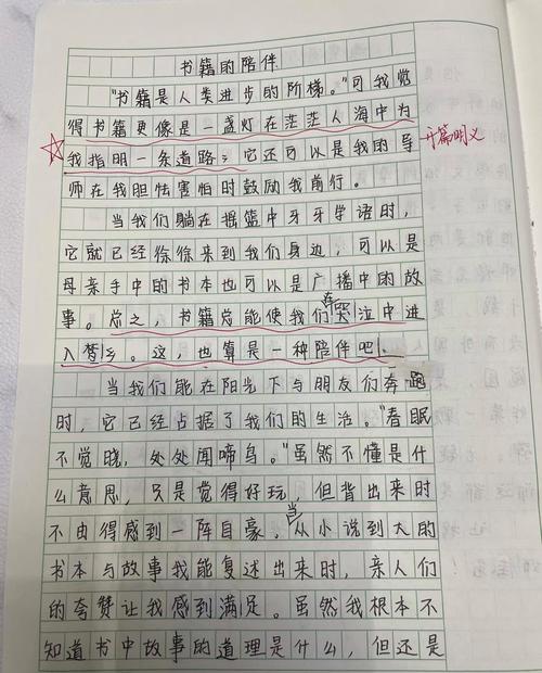 关于书籍的作文素材作文800字初中作文