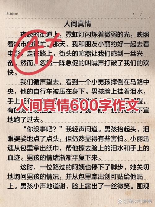 关于人间真情的小升初作文作文500字优秀