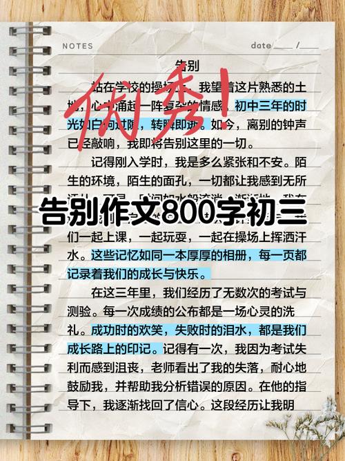 关于告别的高考作文作文800字记叙文初三