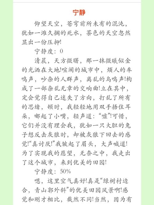 关于宁静作看图作文