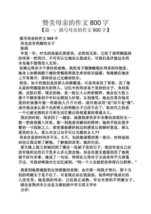 关于母爱的初中作作文800字最新
