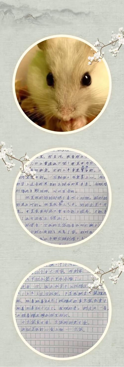 关于爱慕之心的作文网作文600字初中
