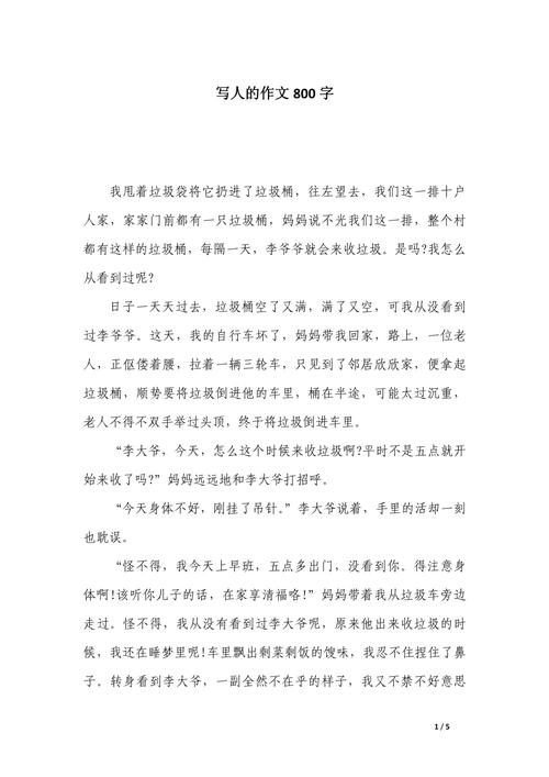 写人的优秀作文作文800字高中二年级(合集5篇)