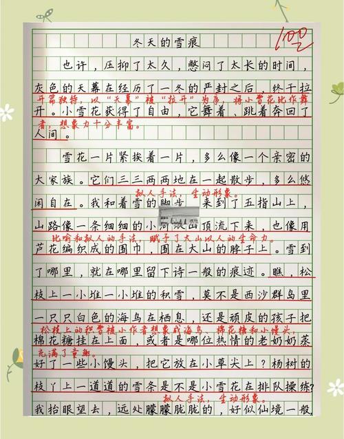 冬天小学作小学作11篇