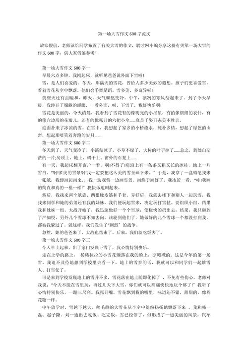 冬天的高中作第一场雪作文600字初二(经典)